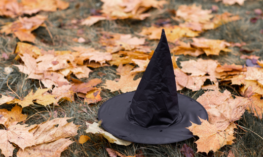 Les Sorcières : gardiennes des secrets anciens🧙