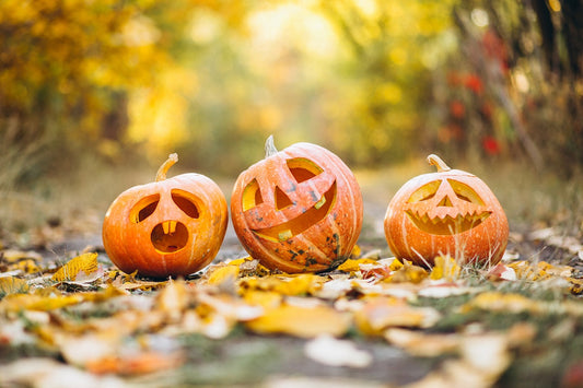 Quels sont les Origines d'Halloween ? De Samhain aux Célébrations Modernes Autour du Monde